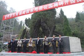 貴州黔東南苗嶺國家地質公園 貴州黔東南苗嶺國家地質公園