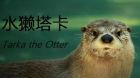 水獺塔卡