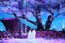 馬曉夢《夢路大型演唱會》劇照