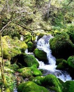 神龍架風景區 神龍架風景區