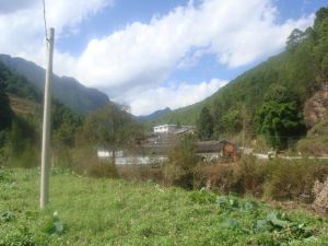 打子溝村 打子溝村