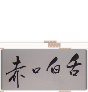 赤口白舌 赤口白舌