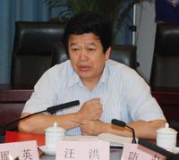 水利部總工汪洪