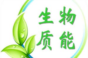 現代生物質能 現代生物質能