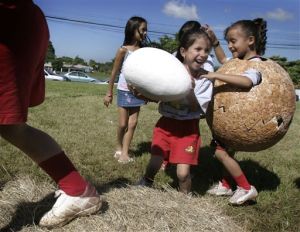 世界蛋品日 世界蛋品日