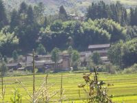 濮家自然村 濮家自然村