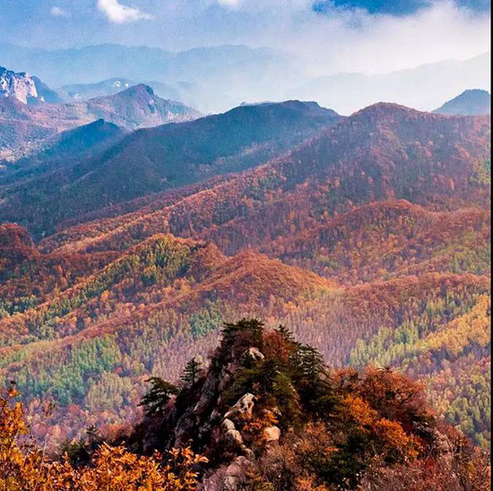 一到秋天,北京又又又美成了北平!