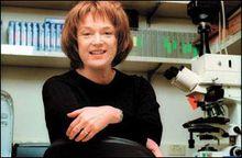 琳達&middot;巴克