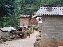 大馬者村 大馬者村