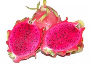 天王靈芝農產品 天王靈芝農產品