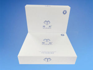 炫妃美牙儀 炫妃美牙儀