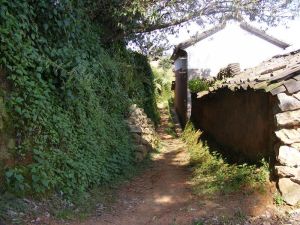 卡子密村 卡子密村