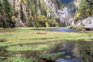 扎如溝區段 扎如溝區段