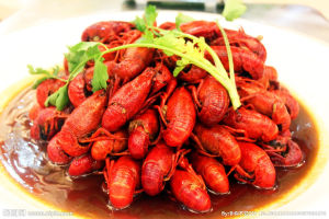 彩絲龍蝦 彩絲龍蝦