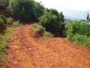 田口四村 田口四村