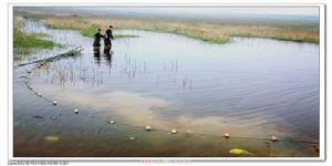 蒲城鹵陽湖國家濕地公園