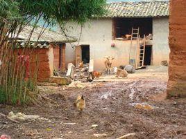 苦岔自然村 苦岔自然村