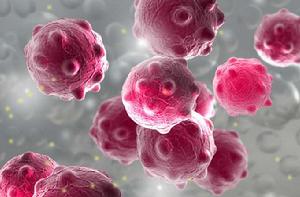 諾如病毒 諾如病毒