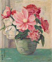 芍藥[芍藥科、芍藥屬多年生草本花卉]