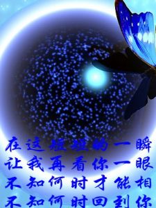 在看你一眼