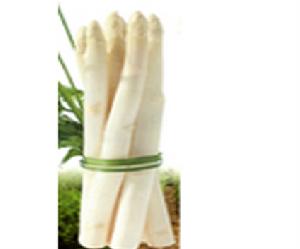 澤西巨人 澤西巨人