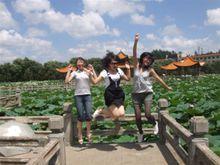 青春也曾飛揚的某七