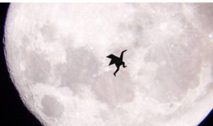 猥瑣鶴與月亮