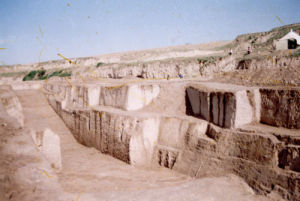 雍城遺址[陝西寶雞秦遺址]