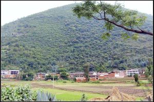 先鋒向陽村 先鋒向陽村