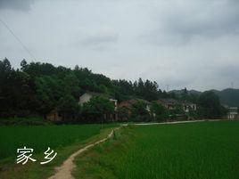 家鄉[王牌演唱的網路單曲]