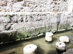 西羅亞池 西羅亞池