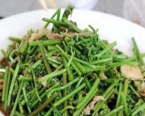 海米炒蕨菜 海米炒蕨菜