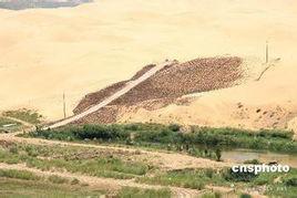 耕地退化 耕地退化