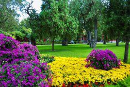 百花公園 百花公園