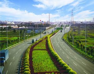 新塘大道 新塘大道