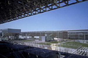 崎玉大學 崎玉大學