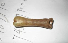 諫迎佛骨 諫迎佛骨