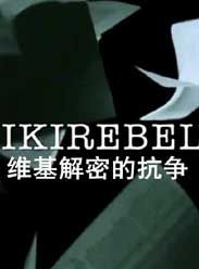 維基解密的抗爭