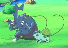 小智的赫拉克羅斯和妙蛙種子