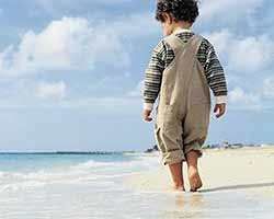 自然之子 自然之子