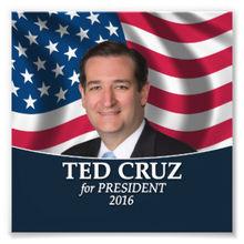 2016年美國總統選舉