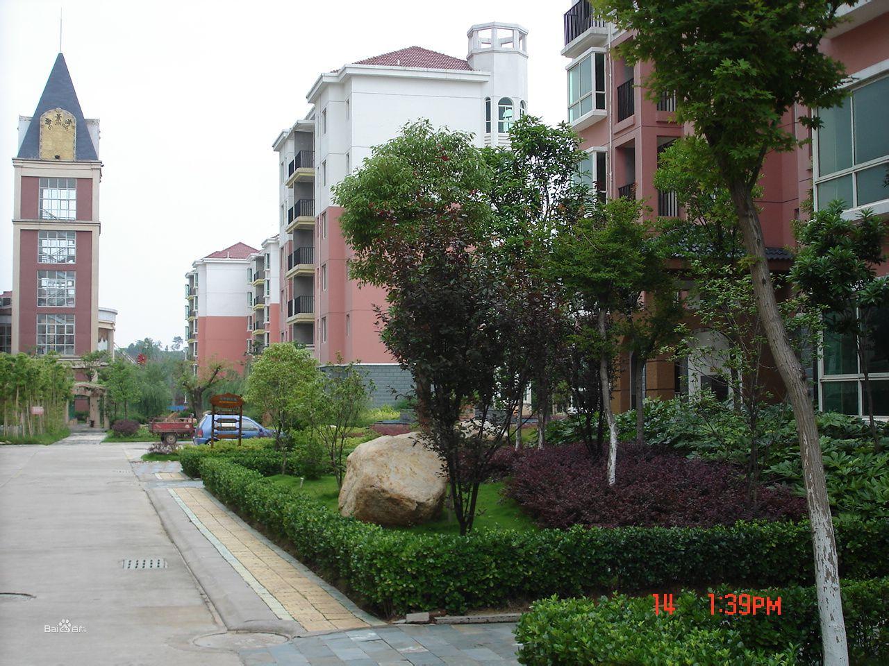 小區環境圖木舒克市