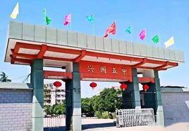 興國五中 興國五中