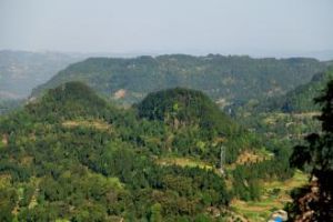 雙山子群 雙山子群