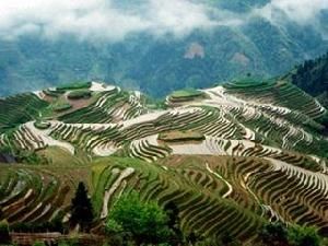  龍脊梯田