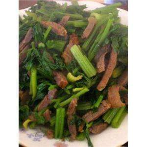 薺菜炒雞片 薺菜炒雞片