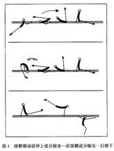 圖4　掛臂擺動屈伸上成分腿坐前-前滾成分腿坐-後擺下