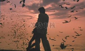 橋爪浩一 橋爪浩一