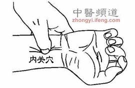 八脈交會穴 八脈交會穴