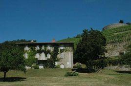 稀雅絲酒莊 稀雅絲酒莊